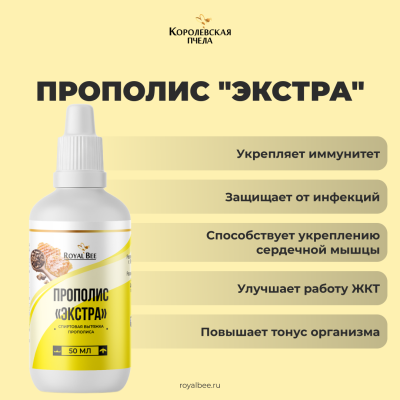 НАБОР "ЗАРЯД АКТИВНОСТИ"